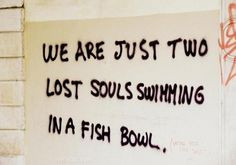 two lost souls quote song lyrics pink floyd More