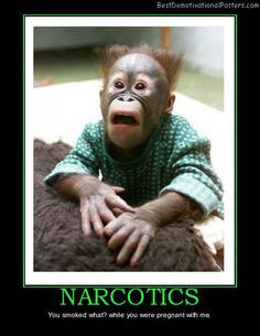 funny monkeys with quotes | funny drug posters funny duramax sayings ...