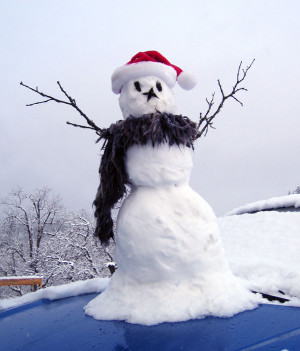 This is a snowman Steve made three years ago! Maybe we can make a new ...
