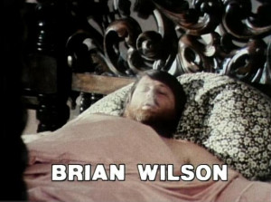 Brian Wilson, the ultimate acid casualty