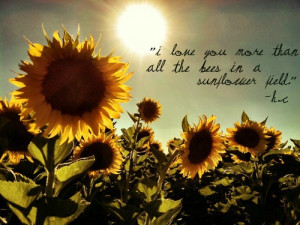 sunflower tattoos tumblr quotes sunflowers sunflower love quotes ...
