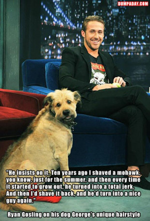 ryan gosling and his dog, funny quotes