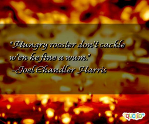 Rooster Quotes