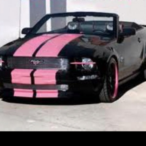 Black and pink ford mustang gt500. Epic.