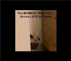 ... Moment When You Arrive Late A Hilarious Quotes And Picture ~ Funny