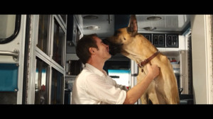 this is all wonderful