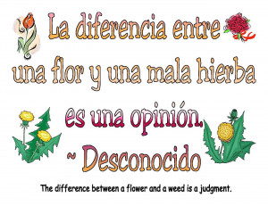 Quotes Pictures list for: Spanish Qoutes