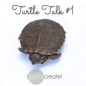 Turtle Talk. Great quotes, sweet image. | visit I Gotta Create!
