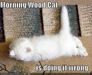 Label / Management Sign-Up