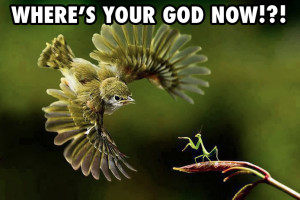 Leave a Reply Cancel reply