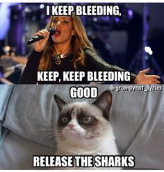 Grumpy Cat sings Bleeding Love by Leona Lewis