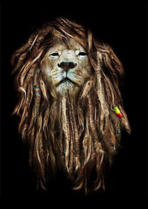 lion #lion of judah #dreads #reggae