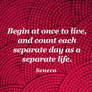Begin at once to live, and count each separate day as a separate life ...