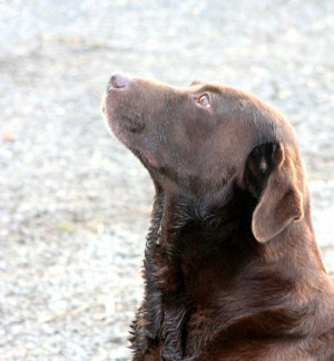 here to get our new articles delivered to your inbox