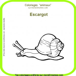 Coloriage Escargot Maternelle