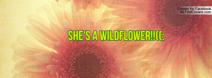 She's A Wildflower Profile Facebook Covers
