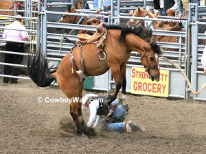 Saddle Bronc Riding Pictures, Page 1 -- Saddle Bronc Riding Pictures ...