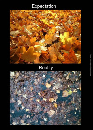 Funny Quotes Expectation Vs Reality 540 X 567 76 Kb Jpeg