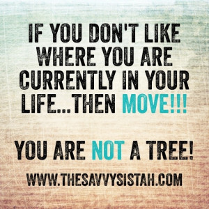 Savvy Quote: “If You Don’t Like Where You Are…