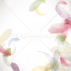 colorful feather background