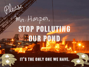 Please Mr Harper Stop Polluting the Pond. Photo David Dodge, type ...