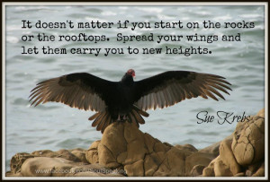... not matter where you start. Spread your wings and fly – Sue Krebs