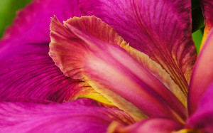 Related Pictures nike football quotes perfect for seeing background