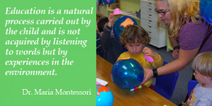 Montessori Quotes