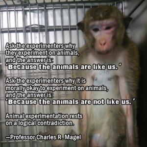 PETA, Re-blog if you think animal testing should be...