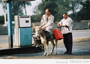 Full tank please! My horse is so thirsty, wait is it a horse??