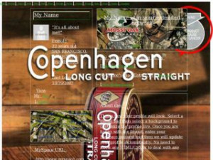 Copenhagen Snuff - Hunting MySpace Layout Preview