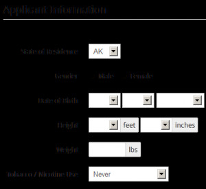 An example of an applicant information field.