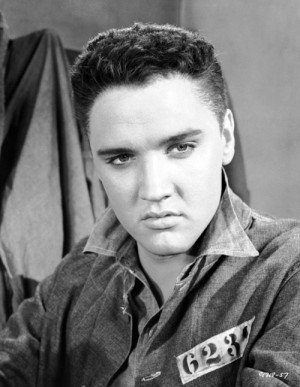 Related Pictures elvis presley pictures funny 4683340779946485 jpg