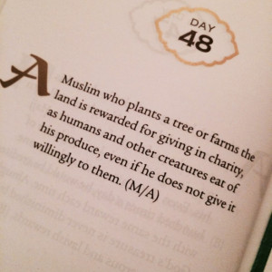 Prophet Muhammad Quote: A Muslim who plants a tree …