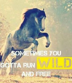 Sometimes you gotta run wild and free