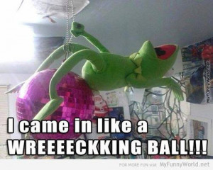 21 Hilarious Photos Of Kermit The Frog That Will Get You Reeling With ...