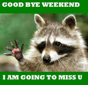 weekend i am going to miss you funny quotes funny facts funny