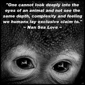 ... animal and not see the same depth, complexity and feeling we humans