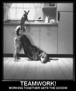 Teamwork dogs - Image