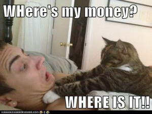 funny cat amusing pictures funny mony funny funny movie quotes funny ...