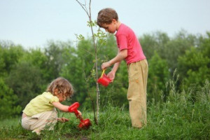 Plant a Tree With Your Child!