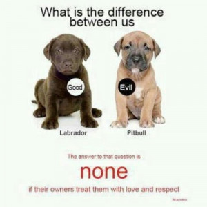 pitbull quotes good dogs