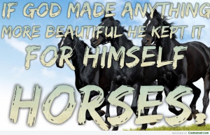 Horse Quote: Horses: If God made anything more beautiful,...