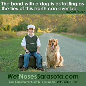 ... dog is as lasting as the ties of this earth can ever be dog quote by