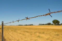 Barbed wire fencing is an ideal choice for farmers and ranchers ...