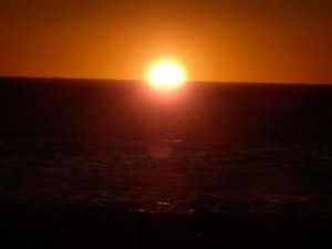 Just waking up.Today is a new day.Time to play