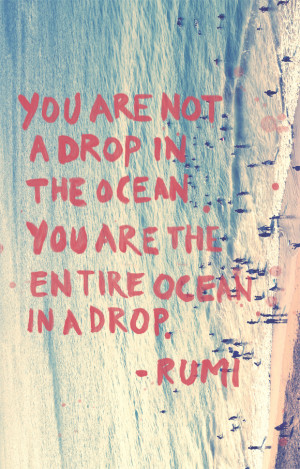 ... are not a drop in the ocean. You are the entire ocean in a drop