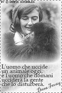 Omaggio a Dian Fossey con una citazione http://graficscribbles ...