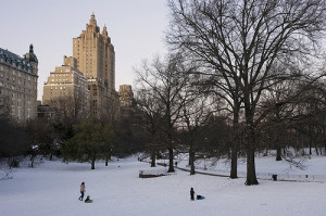 Central Park The Snow Quot