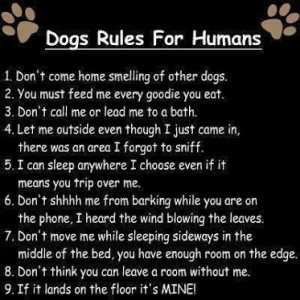 Dogs Rules for Humans! See the Chart!